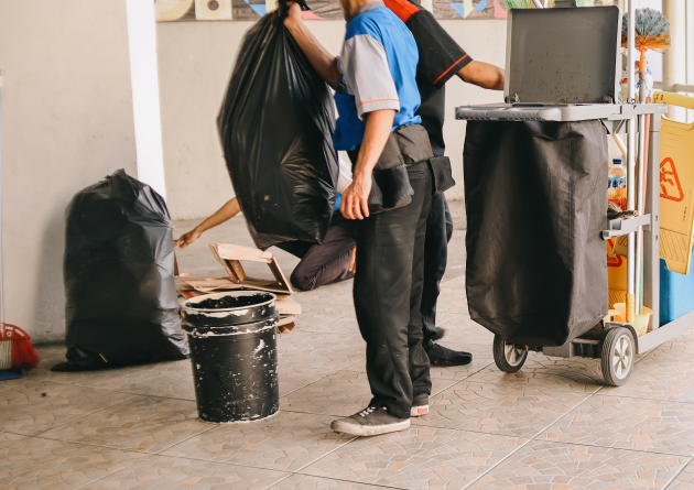 Cobweb & Debris Removal